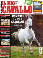 Il mio Cavallo